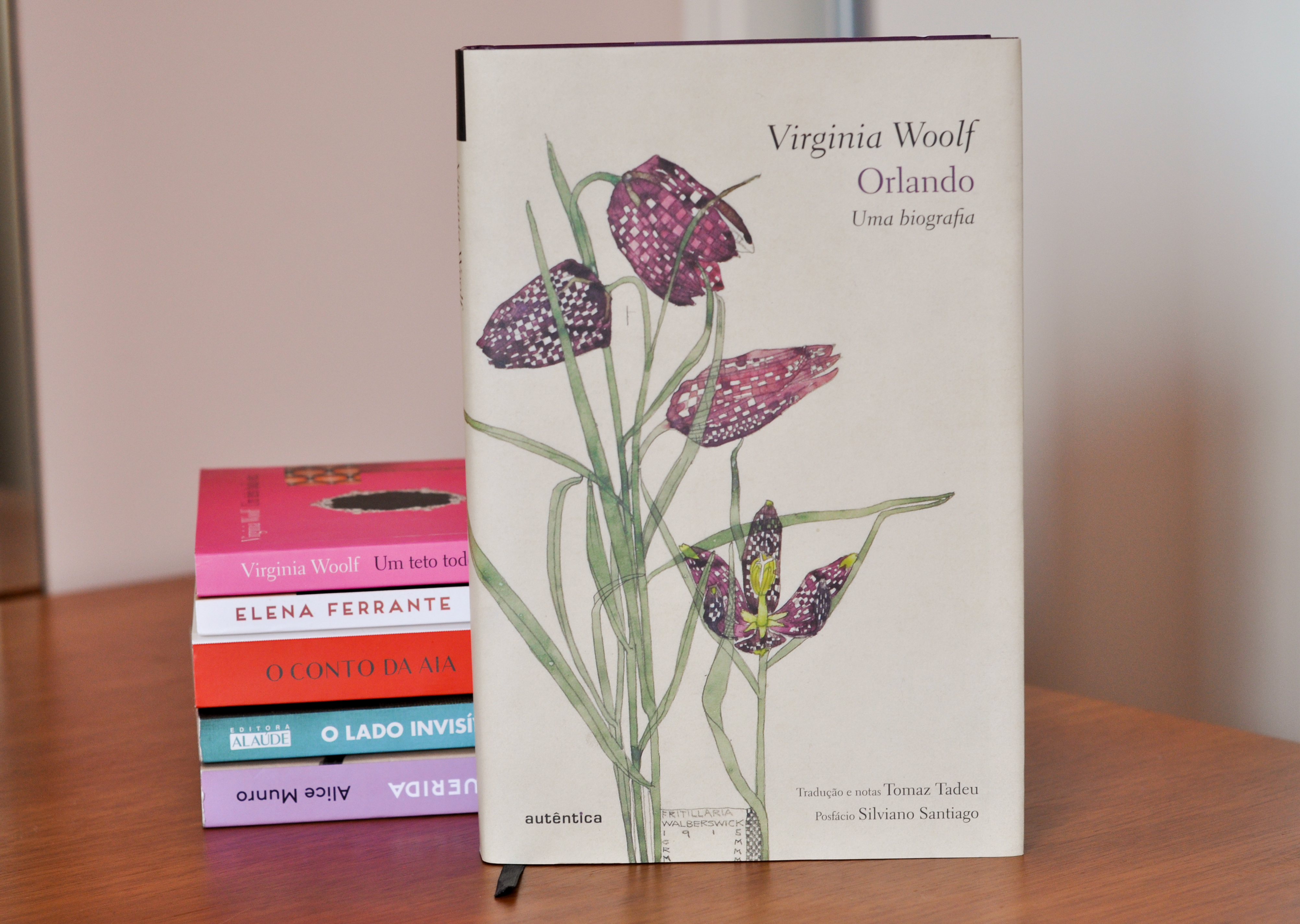 Imagem com os melhores livros escritos por mulheres! Em evidencia: Orlando.